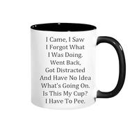I Came I Saw I Forgot Mug Funny Mugs Funny Mug for The Elderly Ceramic Coffee Mugs for Birthday Christmas Funny Gift Present Novelty Unique