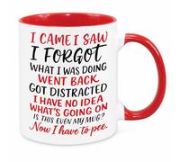 I Came I Saw I Forgot Mug - Funny Novelty Gift Silly Present Mugs for Women Birthday Christmas for Mum Dad Friend Sister for Men Colleague Secret Santa Work Quotes 2 (Red)