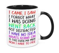 I Came I Saw I Forgot Mug - Funny Novelty Gift Silly Present Mugs for Women Birthday Christmas for Mum Dad Friend Sister for Men Colleague Secret Santa Work Quotes (Rainbow)