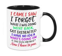 I Came I Saw I Forgot Mug - Funny Novelty Gift Silly Present Mugs for Women Birthday Christmas for Mum Dad Friend Sister for Men Colleague Secret Santa Work Quotes 2 (Rainbow)