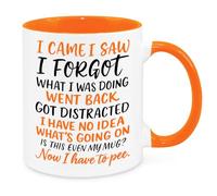I Came I Saw I Forgot Mug - Funny Novelty Gift Silly Present Mugs for Women Birthday Christmas for Mum Dad Friend Sister for Men Colleague Secret Santa Work Quotes 2 (Orange)