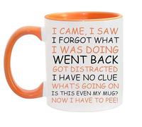 I Came, I Saw, I Forgot What I was Doing Funny 11oz Ceramic Coffee Mug for Office Humor, Gift for Friends and Family (Orange)