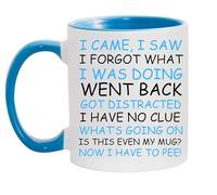 I Came, I Saw, I Forgot What I was Doing Funny Ceramic Coffee Mug 11oz for Office Humor, Gift for Friends and Family (Light Blue)