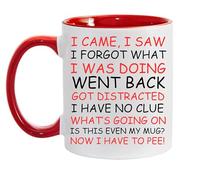 I Came, I Saw, I Forgot What I was Doing Funny Ceramic Coffee Mug 11oz for Office Humor, Gift for Friends and Family (Red)