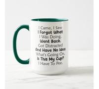 I Came I Saw I Forgot What I was Doing I Have to Pee Mug Gift Funny Gift for Distracted People Humorous Mug Funny Mug for Mom Gift for Dad Mother's Day Mug Father's Day Mug (Green)