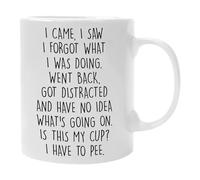 I Came I Saw I Forgot What I was Doing Mug - Funny Senior Citizens,Sarcasm,Sarcastic Gifts for Elderly Grandma Grandpa Mom Dad Aunt Birthday Gift Retirement Cup 11oz Ceramic Coffee Mug