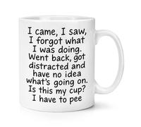 I Came I Saw I Forgot What I was Doing Went Back Got Distracted 10oz Mug Cup