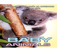 I can be an Animal too