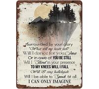 I Can Only Imagine Lyrics Tin Sign Memorial Tin Sign Mercyme The Worship Project Song Lyric Home Decor Poster Decor Poster Wall Art Decor Anniversary Birthday Retro Metal Tin Sign 8X12 Inches