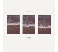 I Can Still See You [VINYL]