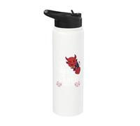 I Cant Go to Hell. Satan Has A Restraining Order Against Me Stainless Steel Insulated Water Bottle