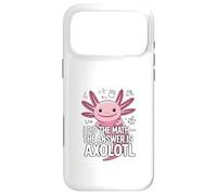 I Did The Math The Answer Is Axolotl Cute Math Case for iPhone 17 Pro Max