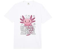 I Did The Math The Answer is Axolotl Joke Comfort Colors Adult Heavyweight T-Shirt