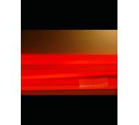 I Didn’t Go Viral. I Got Paid