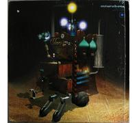 I didn't know what to expect [VINYL]