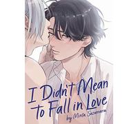I Didn't Mean to Fall in Love: 1