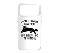 I Don't Always Love You Humorous Cat Lover Funny Black Cat Case for iPhone 17 Pro Max
