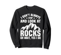 I Don't Always Stop Look At Rocks Geologist Sweatshirt