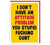 I Don't Have an Attitude Problem You Stupid Card