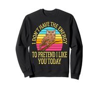 I Don't Have the Energy to Pretend I Like You Today Funny Sweatshirt