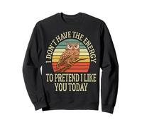 I Don't Have the Energy to Pretend I Like You Today Funny Sweatshirt