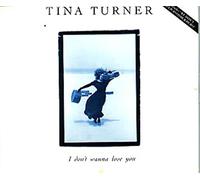 I Don't Wanna Lose You