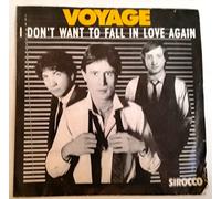 I Don't Want To Fall In Love Again