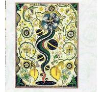 I Feel Alright By Steve Earle (1996-03-08)
