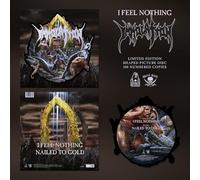 I Feel Nothing [VINYL]
