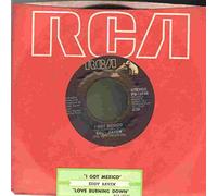 I Got Mexico / Love Burning Down [Vinyl Single 7'']