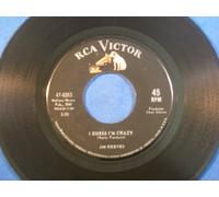 I Guess I'm Crazy / Not Until Next Time [Vinyl Single 7'']