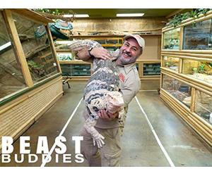 I Have 7 Lions And They've Tried To Kill Me