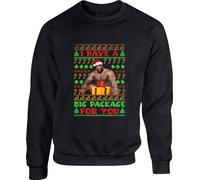 I Have A Big Package For You Funny Offensive Jumper Santa Merry Christmas Double Meaning Joke Meme Gift For Friends Birthday Xmas Unisex Adult Top (4XL, Black)