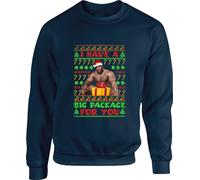 I Have A Big Package For You Funny Offensive Jumper Santa Merry Christmas Double Meaning Joke Meme Gift For Friends Birthday Xmas Unisex Adult Top (S, Navy)