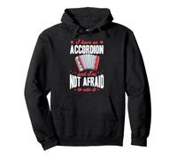 I Have An Accordion And I'm Not Afraid To Use It Pullover Hoodie