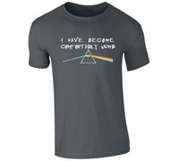 I Have Become Comfortably Numb Printed T-Shirt - Pink Floyd Fan Tee for Men and Women (UK, Alpha, XXL, Regular, Regular, Charcoal)