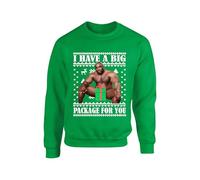 I Have Big Package For You Christmas Jumper Funny Ugly Barry Rude Men Holiday Festive Xmas Sweater Gift Idea Unisex kids adults Sweatshirt(M, Irish Green)