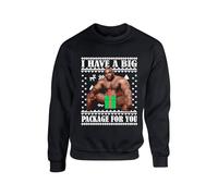 I Have Big Package For You Christmas Jumper Funny Ugly Barry Rude Men Holiday Festive Xmas Sweater Gift Idea Unisex kids adults Sweatshirt(XL, Black)
