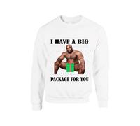 I Have Big Package For You Christmas Jumper Funny Ugly Barry Rude Men Holiday Festive Xmas Sweater Gift Idea Unisex kids adults Sweatshirt(XL, White)