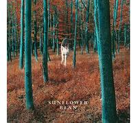 I Hear Voices / The Stalker
