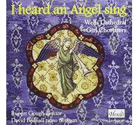 I heard an angel sing - I heard an angel sing