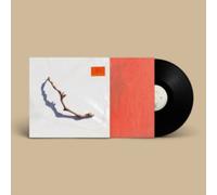 PJ Harvey - I Inside the Old Year Dying [VINYL]