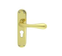 i IRONMONGERY SOLUTIONS Astro Lever on Backplate Door Handle, Modern Style, for Interior Doors, Residential and Commercial Use (Polished Brass, Euro Profile)