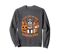 I Just Like My Dog And Pumpkin Spice Fall Vibes Sweatshirt