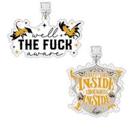 I Kept The Insight Thoughts Inside, Well The F*ck Aware Kindle Charms for Kindle, 1.5 Inch 4 Wings, Introvert Dragon, Lightning/Type C Reading, Accessories, 3.81 cm, Acrylic, No Gemstone