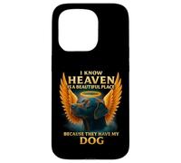 I know heaven Is A Beautiful Place Because They Have My Dog Case for iPhone 15 Pro