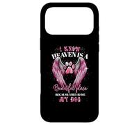 I Know Heaven Is A Beautiful Place Because They Have My Dog Case for iPhone 17 Pro Max