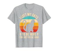 I Left My Cats to BE HERE This Better BE Good T-Shirt, Men, Heather Grey, Medium