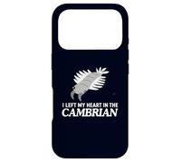 I Left My Heart in the Cambrian Funny Anomalocaris Paleo Case for iPhone 17 Pro