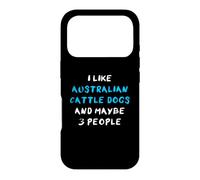 I Like Australian Cattle Dogs And Maybe 3 People Case for iPhone 17 Pro